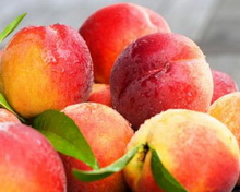 Вітчизняним садівникам не вдалося підняти ціни на персик через конкуренцію молдавських фруктів
